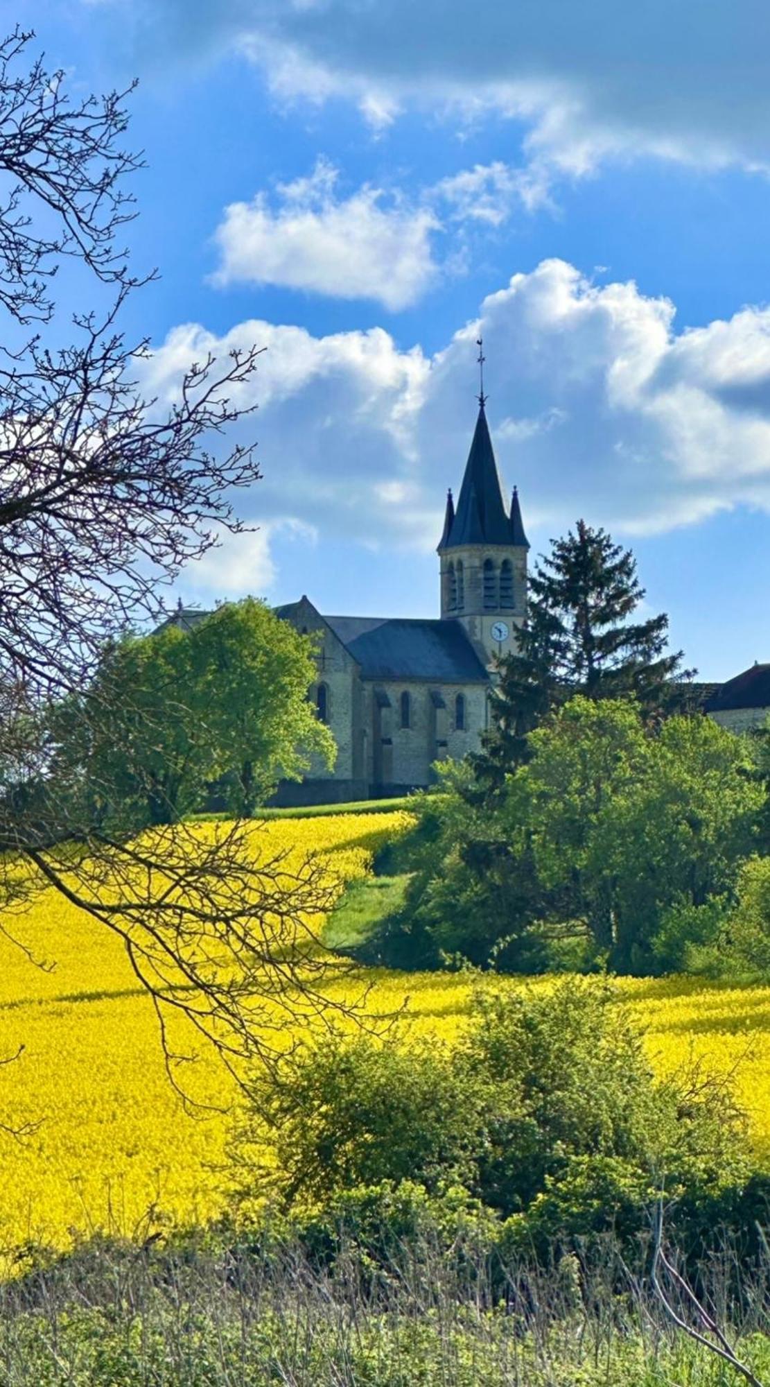 La Cour Des Delices Bed & Breakfast Gigny  Dış mekan fotoğraf